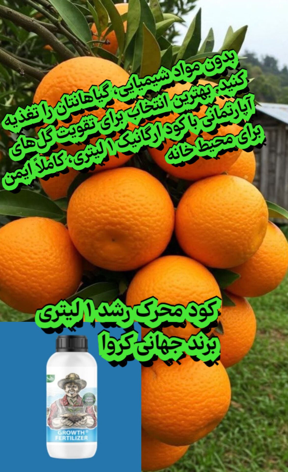 فروش اقساطی کود (محرک رشد ۱ لیتری برند جهانی کروا) افزایش سرعت رشد گیاهان اپارتمانی وبالا بردن کیفیت محصولات کشاورزی و باغی
