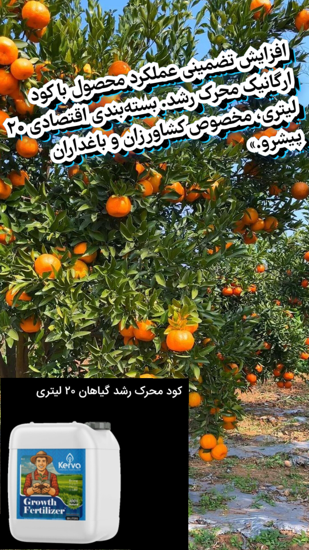 فروش اقساطی (کود محرک رشد ۲۰ لیتری کروا) تضمین افزایش سایز محصولات و بالا بردن تناژ ۲۵ درصدی محصولات مزارع و باغات