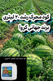 فروش اقساطی (کود محرک رشد ۲۰ لیتری کروا) تضمین ۲۵ درصدی افزایش سایز محصولات و بالا بردن تناژ ۲۵ درصدی محصولات مزارع و باغات