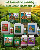 کود هیومیک اسید ۱ لیتری ریشه زایی سریع و قوی،درمان سفتی و چسبندگی خاک انواع گوناگون درختان و گلهای اپارتمانی و،،ارسال تضمینی از نمایندگی،